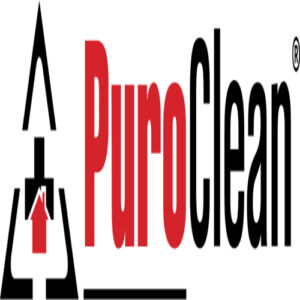 PuroClean Logo Line 500x500 300x300