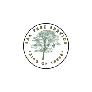 AAA 4 Trees 300x300