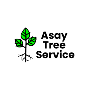 Logo 300x300