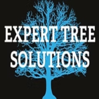 limage 30388 80 photo