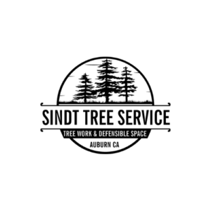 Sindt Tree Service 300x300