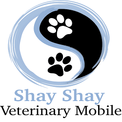shayshay logo final text Copy