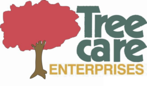 TCE Logo 300x176