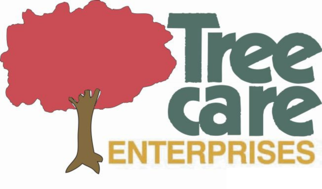 TCE Logo