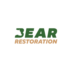 Bear Restoration 1