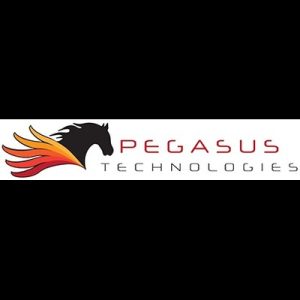 Pegasus Technologies LLC 300x300