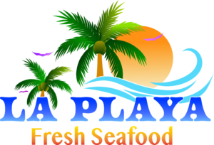 LOGO PLAYA DEFI 300x204