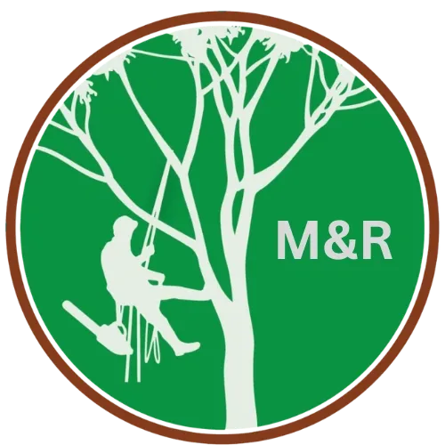 mr tree services vancouver wa logo